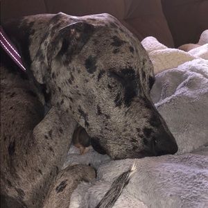 Meet your Posher, Eli